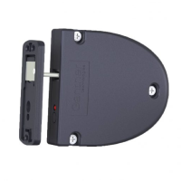 Smart Lock integration